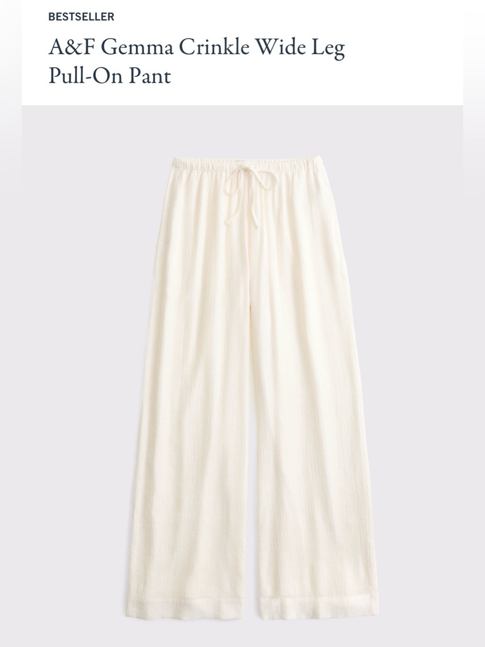 Abercrombie & Fitch Gemma Crinkle Wide Leg Pull-On Pant